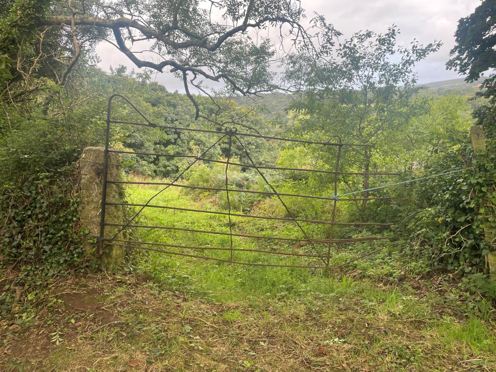 Lot: 139 - FREEHOLD LAND - Access gate to land